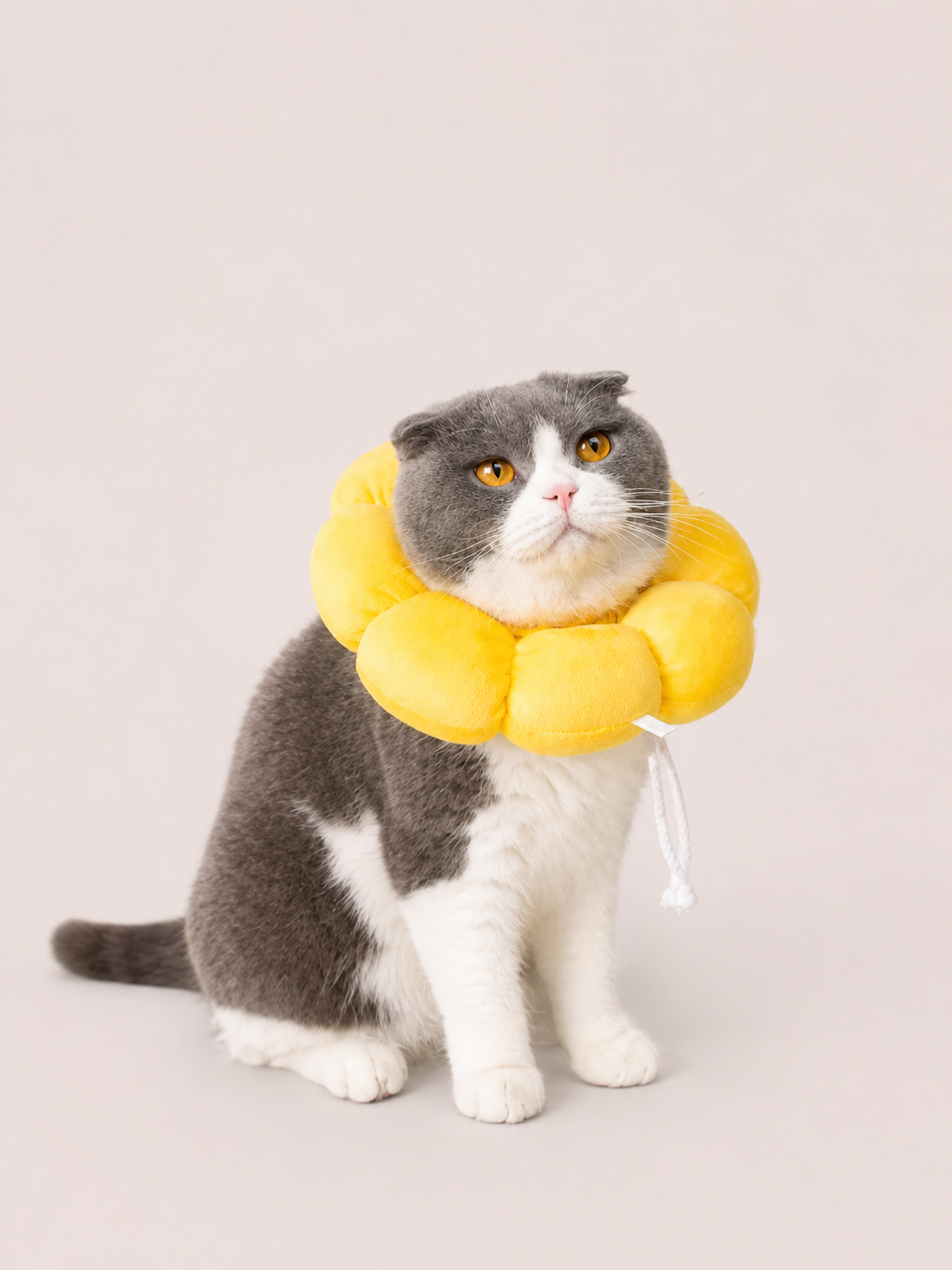 Petal Recovery Cone Collar