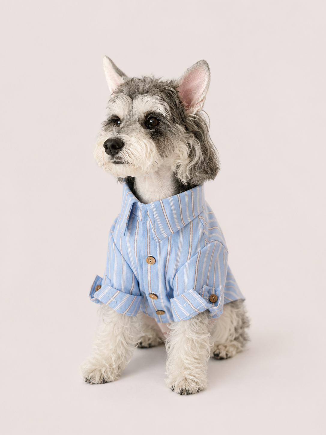 Striped Linen Pet Shirt